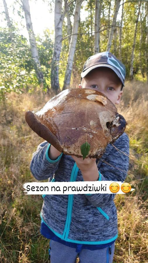 Aris Pokoje Goscinne Wojnicz المظهر الخارجي الصورة